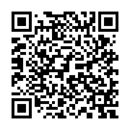 QR code for plate 33U FI4
