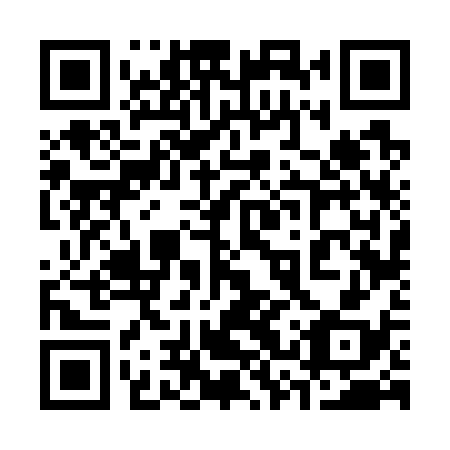QR code for 33V 738