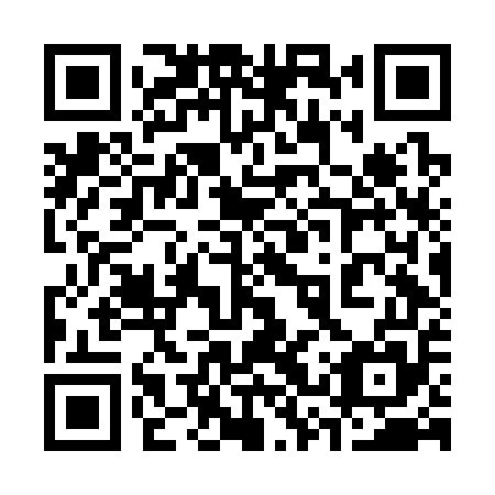 QR code for 33V C55