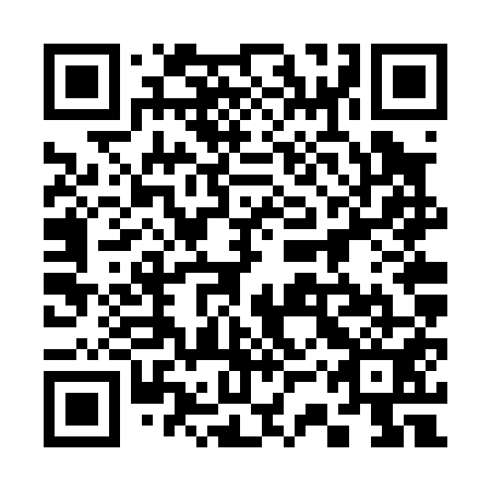 QR code for 33V P51