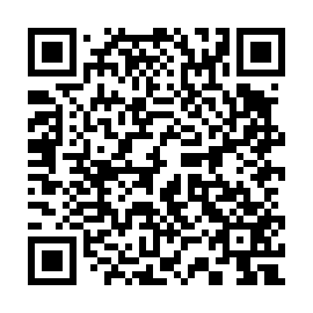 QR code for 33X D53