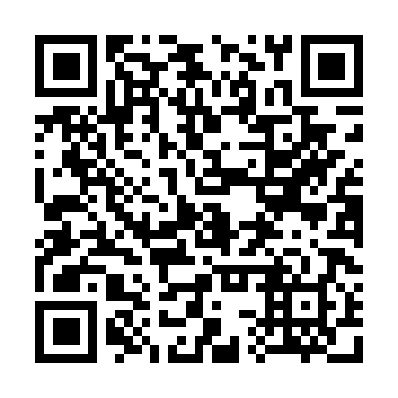 QR code for 33X DX8