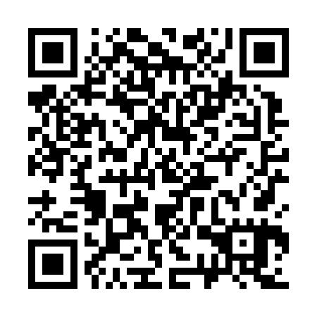 QR code for 33X Z65