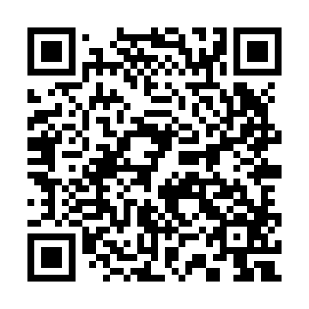 QR code for 33X Z86
