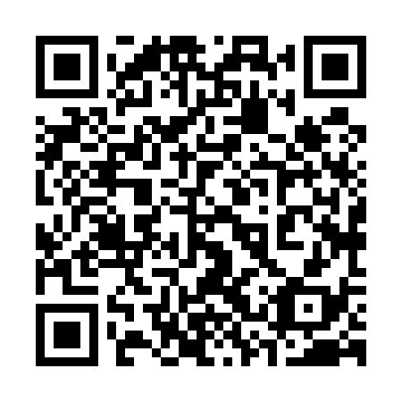 QR code for 33X538