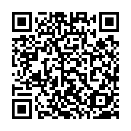 QR code for plate 33X 728