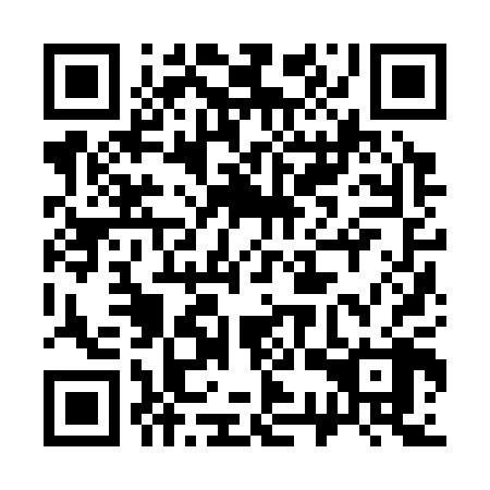 QR code for 33Z 308