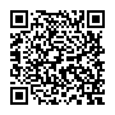 QR code for 33Z 993