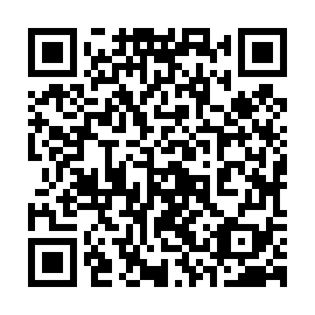 QR code for 33Z479