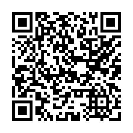 QR code for plate 33Z 885