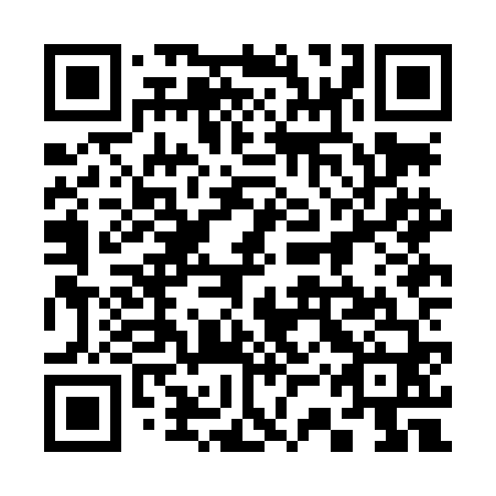 QR code for plate 33Z LF0