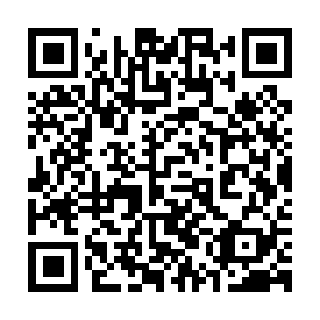 QR code for plate 35G P29