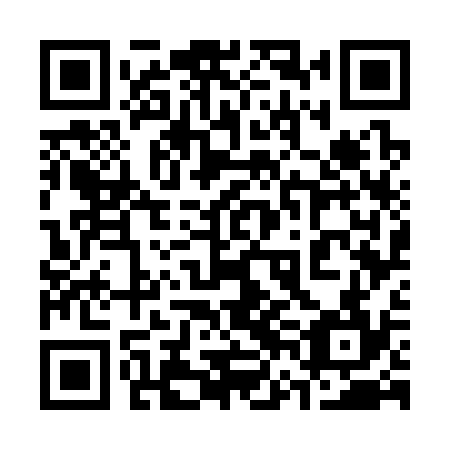 QR code for 36G334