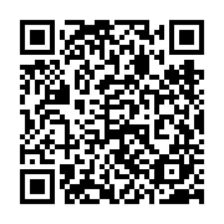 QR code for plate 36G VN0