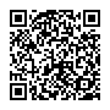 QR code for plate 36G ZX8