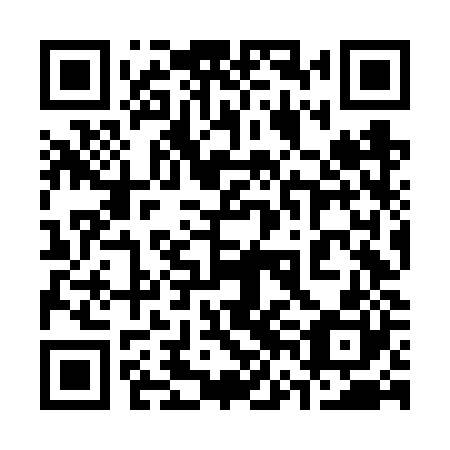 QR code for plate 36N FZ0