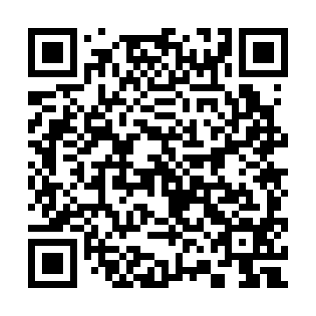 QR code for plate 36O 394