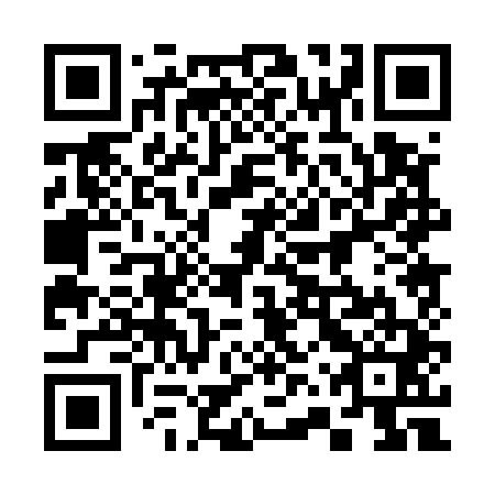 QR code for 36P541