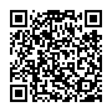 QR code for plate 36T FE9