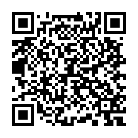 QR code for plate 36U E13