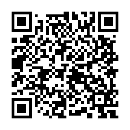 QR code for plate 36Y 596