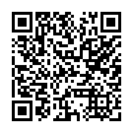 QR code for plate 37D 838