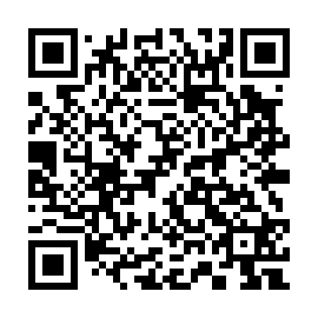 QR code for plate 37M P20