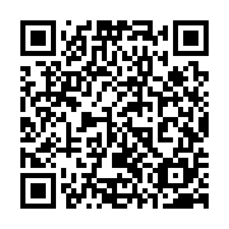 QR code for plate 37N S55