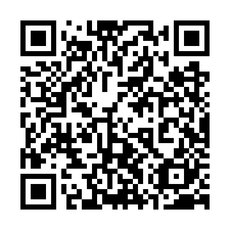 QR code for plate 37T WZ0