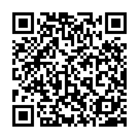 QR code for plate 37T XK1