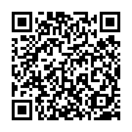QR code for plate 37Z V98