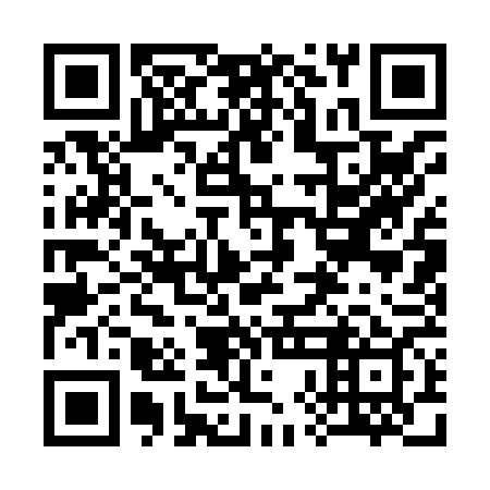 QR code for 38A869