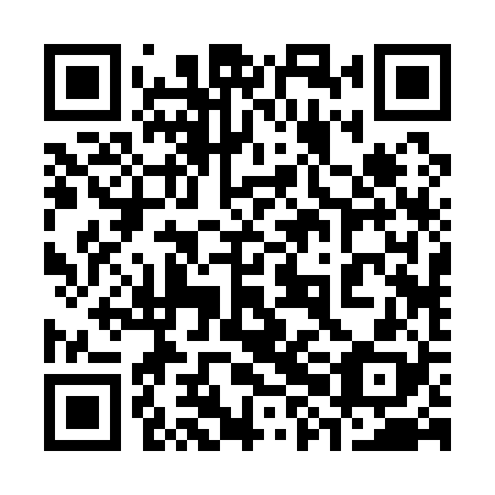QR code for plate 38B 128