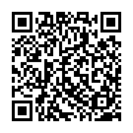 QR code for plate 38B 722