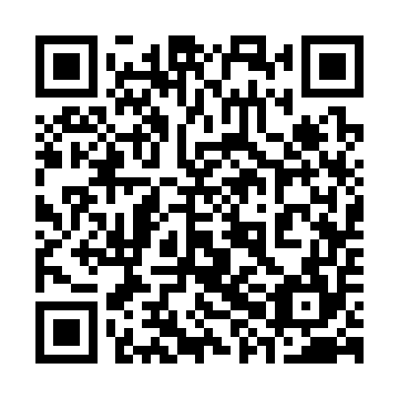 QR code for plate 38C 354
