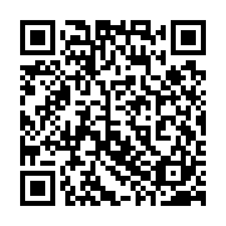 QR code for plate 38C G23