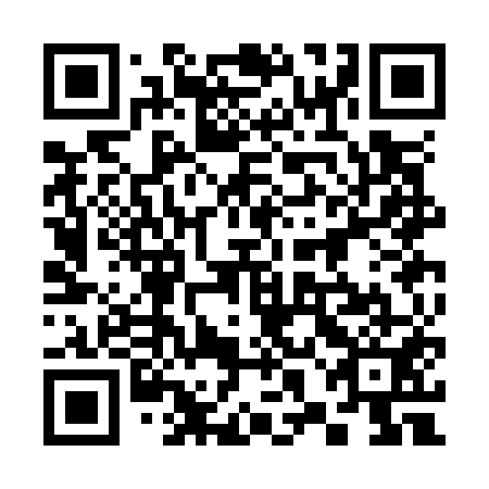 QR code for plate 38C O51