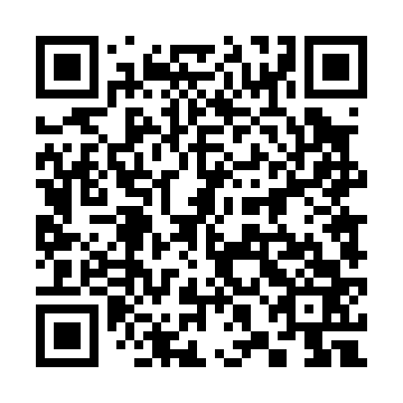 QR code for 38D063