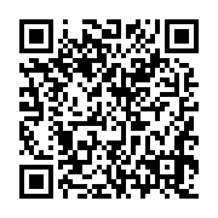 QR code for plate 38D 877