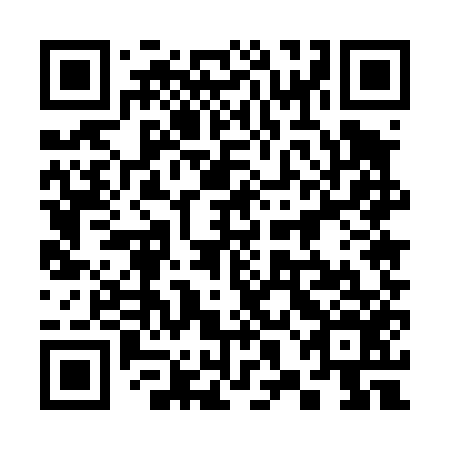 QR code for plate 38E 456