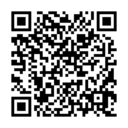 QR code for plate 38E 866