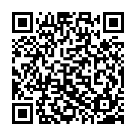 QR code for plate 38E J34