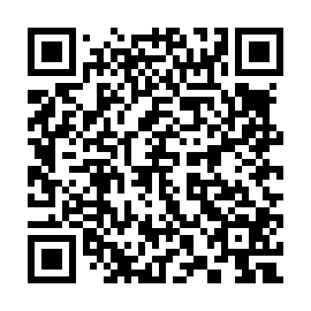 QR code for plate 38E L04