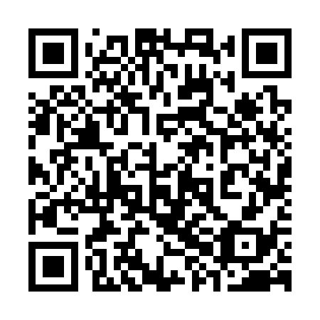 QR code for 38F338