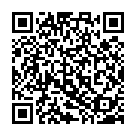 QR code for plate 38F U39