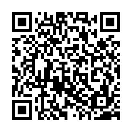 QR code for plate 38G O36