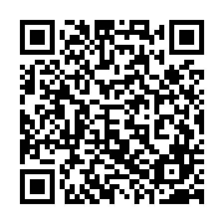 QR code for plate 38G O46