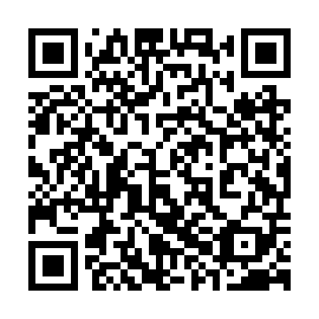 QR code for plate 38H BP9
