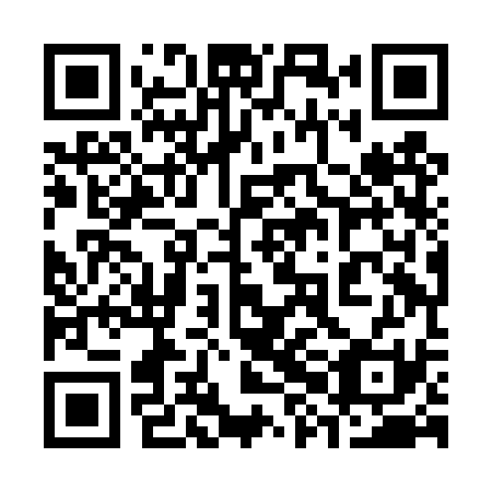 QR code for 38HDS1