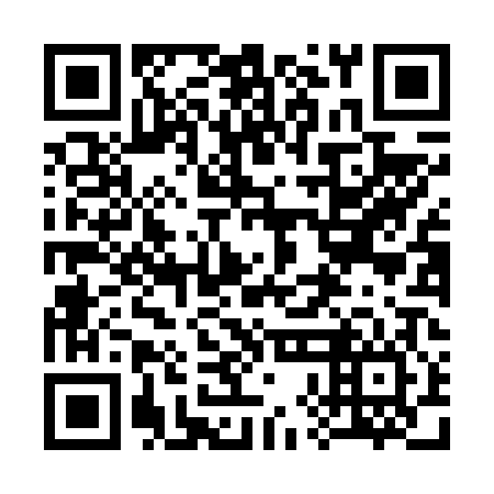 QR code for plate 38H F06